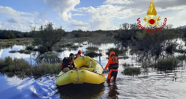 Si innalza il livello dell'acqua. Pecore salvate dai Vigili del fuoco