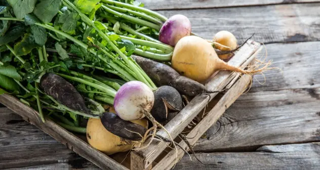 La pianta magica della settimana: Rapa (Brassica rapa)