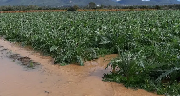 Maltempo, Coldiretti Cagliari: dalla siccità alle bombe d’acqua