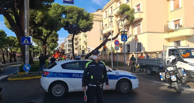 Cagliari. Maltempo: albero cede in viale Diaz