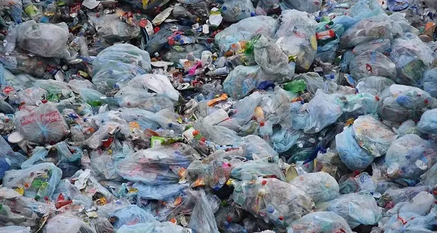 “Stintino Plastic free”: una campagna per la promozione del rispetto dell’ambiente