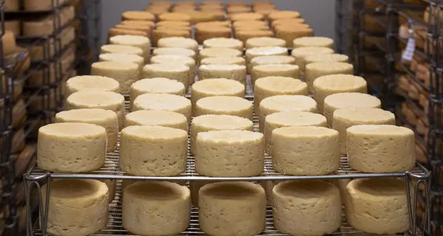 L’Azienda Erkiles vince l’ennesimo premio per la qualità dei suoi formaggi a caglio vegetale