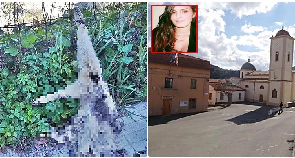 Gattino trucidato e legato ad una zampa. Daniela Daga: “Vigiliamo sui nostri figli”