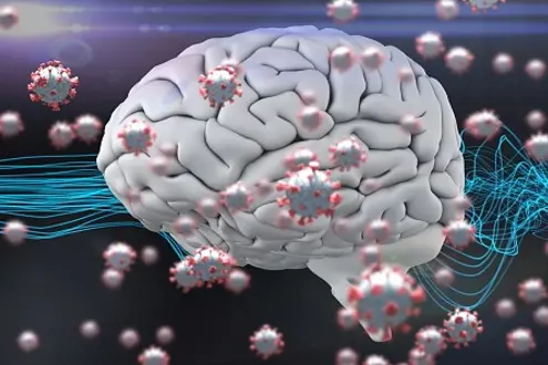 Digital illustration of macro Covid-19 cells floating over a human brain and a web of connection. Coronavirus Covid-19 pandemic concept digital composite