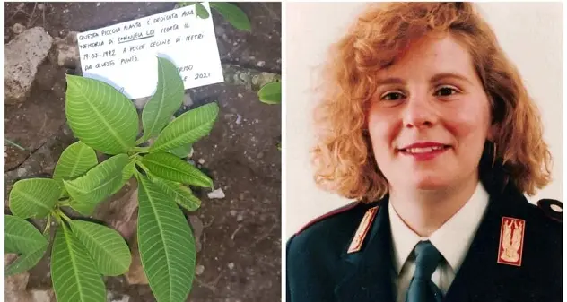 Rubata a Palermo pianta in memoria di Emanuela Loi