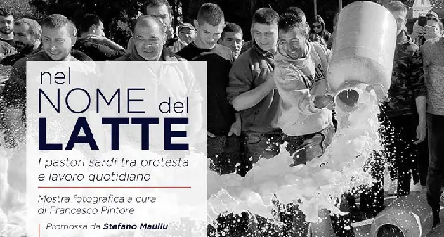 “Nel nome del latte”, i pastori sardi tra protesta e lavoro quotidiano: ecco la mostra