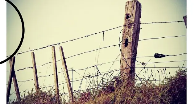 Quattro milioni per valorizzare i beni sottratti alle Mafie: pubblicato il bando della Fondazione per il Sud e della “Peppino Vismara”