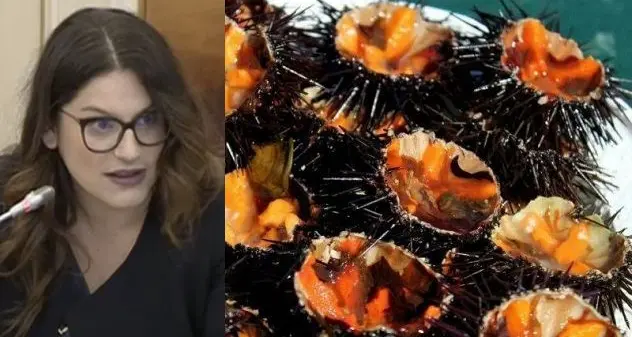 Ricci di mare, popolazioni in drastico calo: tavolo tecnico a Porto Conte con la deputata Paola Deiana