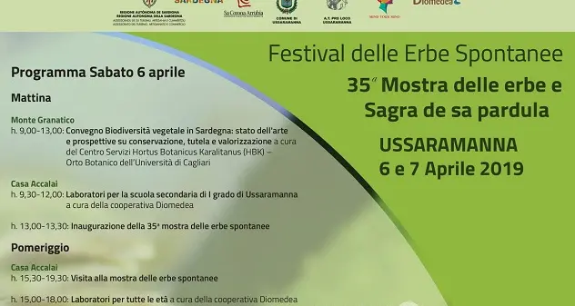 La biodiversità vegetale in Sardegna apre il festival delle erbe spontanee