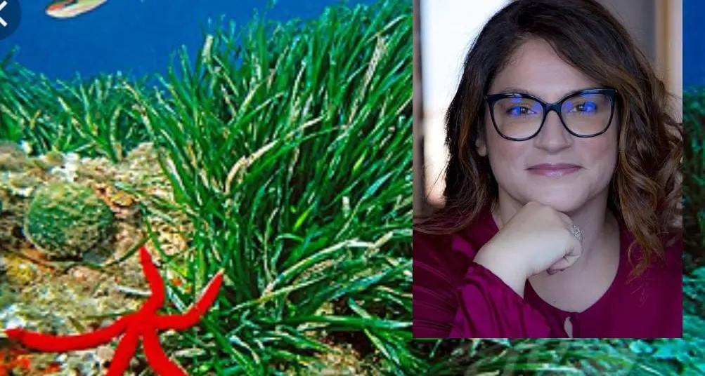 Posidonia oceanica, arriva la proposta di legge della deputata Paola Deiana