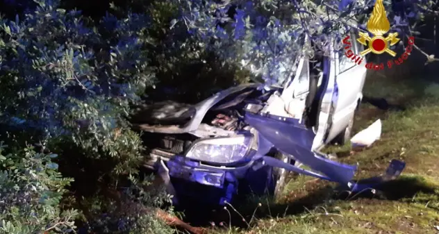 Auto contro cavallo sulla S.P. 26 Borore-Sedilo: grave una coppia