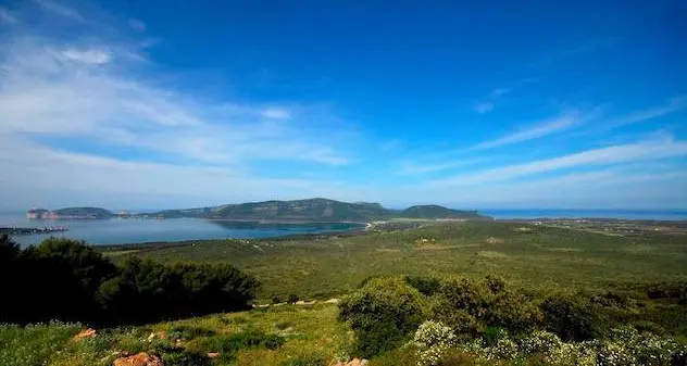 I vent’anni del Parco naturale regionale di Porto Conte: martedì serata al Teatro civico