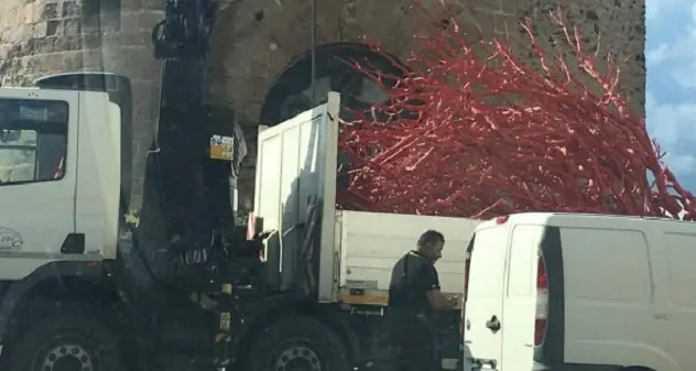 Il Comune rimuove l'albero di Natale in corallo posizionato in piazza Porta Terra