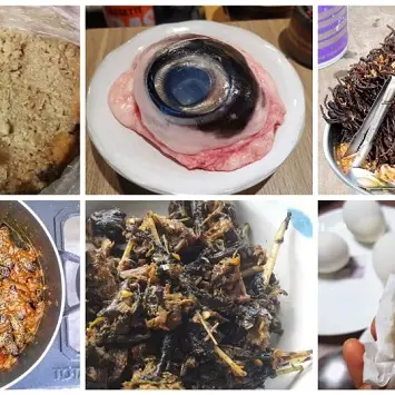 Non solo il casu marzu: ecco alcuni dei cibi più strani al mondo