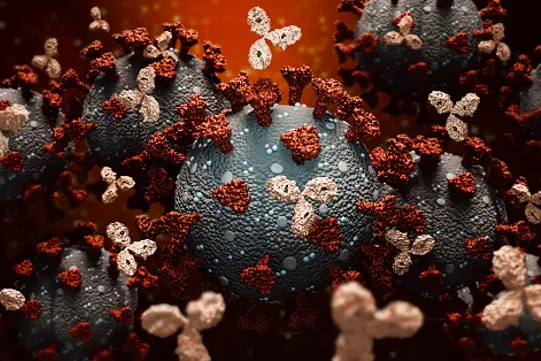 Monoclonal antibodies or immunoglobulin fighting against a group of coronavirus or covid cells 3D rendering illustration. Immunity, immune system, immunotherapy, biomedical, biology, medicine concepts. Accurate scientific render and artist vision.