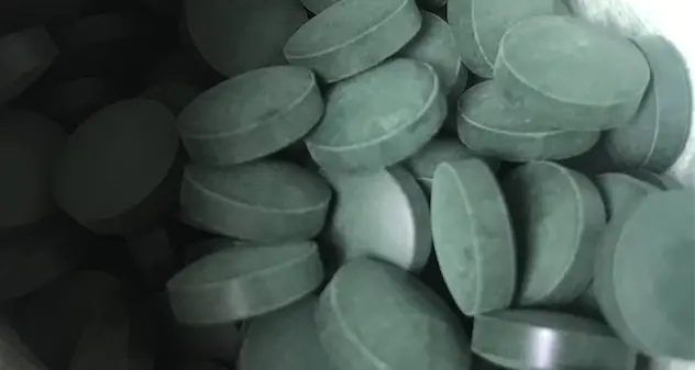 Alga spirulina: in Sardegna la produzione del superfood
