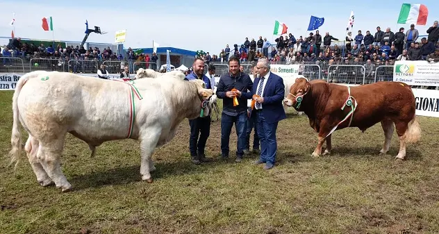 Il premio “precursore” all’Abeltino-Filigheddu