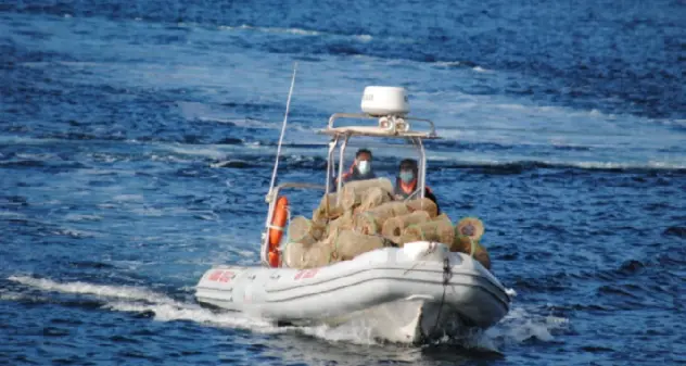 La Guardia Costiera di Alghero sequestra 327 nasse a Capo Caccia