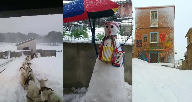 Cinque anni fa l'ultima grande nevicata in Sardegna. L'evento raccontato con le nostre foto e i video