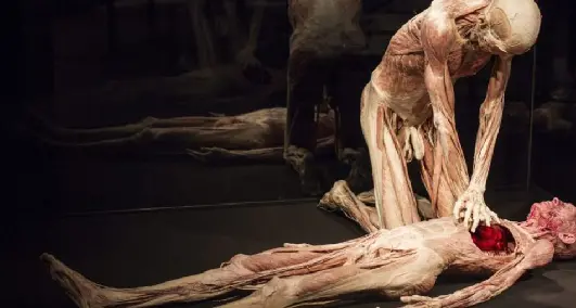 Veri corpi umani sezionati: la mostra tra brividi e curiosità al T-Hotel. IL VIDEO