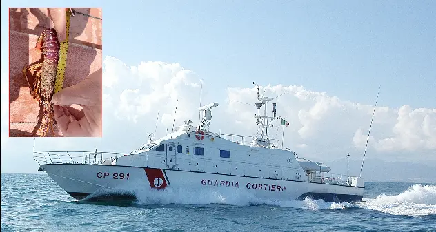 Aragoste ‘sotto misura’, sequestro e maxi multa della Guardia Costiera