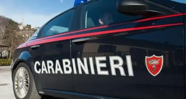 Munizioni, stupefacenti e merce trafugata: 3 denunciati a Romana dai Carabinieri