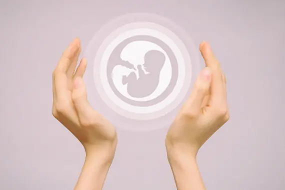 Two female hands hold an icon of a human embryo. Close-up, pink isolated background. The concept of the origin of the world.