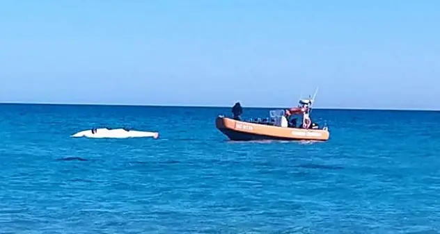 San Teodoro. Idrovolante precipita in mare alla Cinta, il pilota: “ho fatto una sciocchezza\"