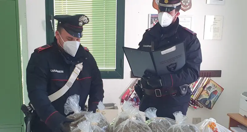 Nascondeva in casa 23kg di marijuana: arrestato 60enne