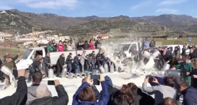 Latte. I pastori tornano sulle strade: lunedì presidio lungo la 131 dcn