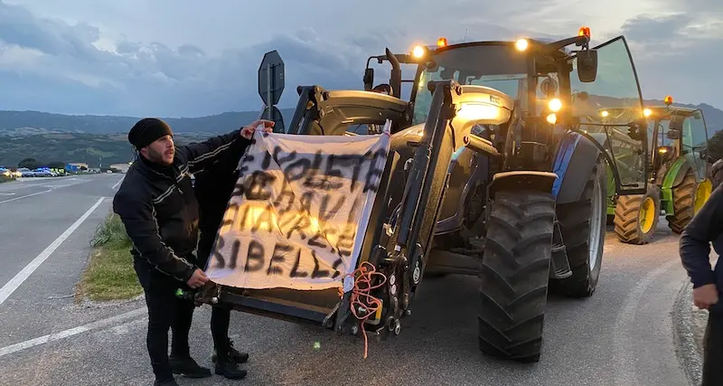 L’assessora Murgia: “La Regione è al fianco dei pastori e sta facendo la sua parte”