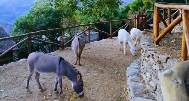 A Desulo esiste un luogo incantato dove la montagna diventa per tutti: il Parco Montano Pindoro