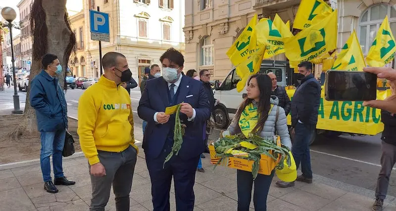 Coldiretti sardegna. Un carciofo in dono ai cittadini con l’invito a comprare sardo