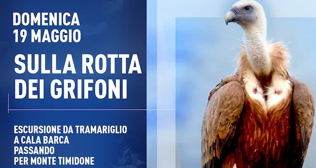 Bike tour delle calette delle Bombarde e arrampicata al Parco Avventura: ecco gli appunti del week end per gli amanti dell'avventura