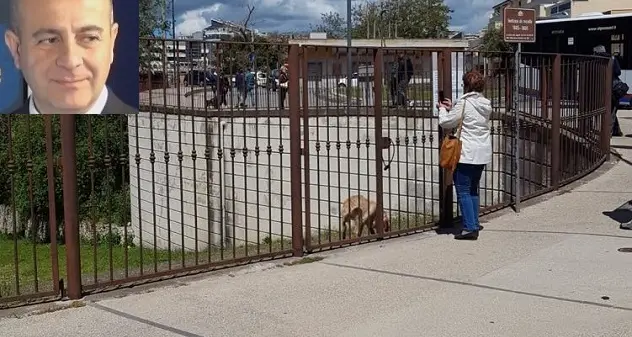Cavalcata Sarda: Alivesi: “La festa della Bellezza, ma con i monumenti chiusi”