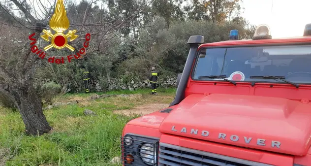 Arzachena, ritrovato il ragazzo scomparso da San Pantaleo