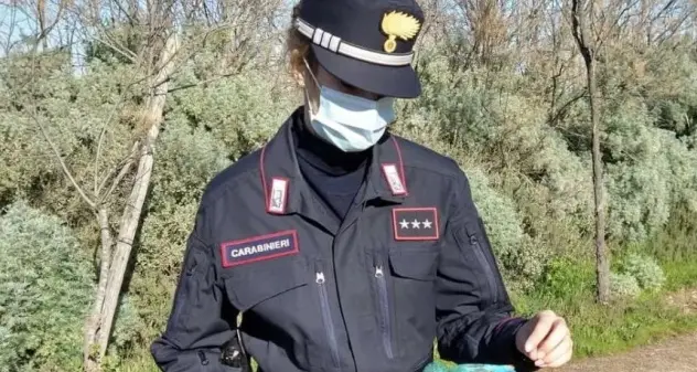 Bracconaggio, denunciato un 65enne a Quartucciu