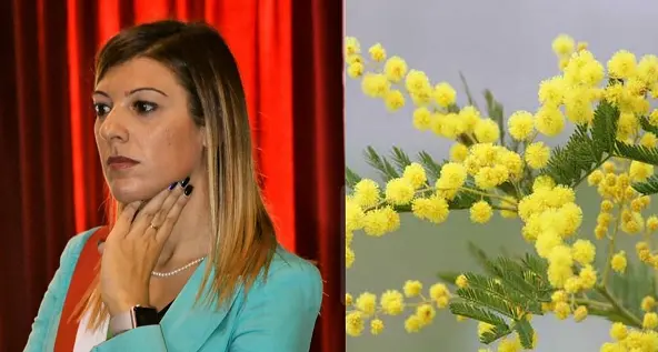 8 marzo. Paola Casula: \"Non ci si fermi alle celebrazioni, la politica agisca per cambiare la condizione femminile\"