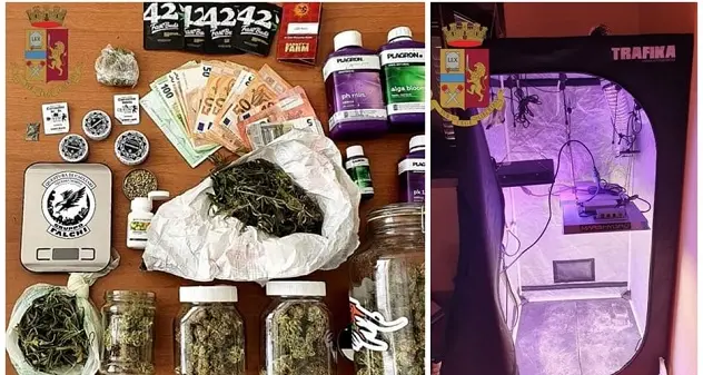 Allestisce una serra di marijuana in camera da letto: in manette 36enne di Villaspeciosa