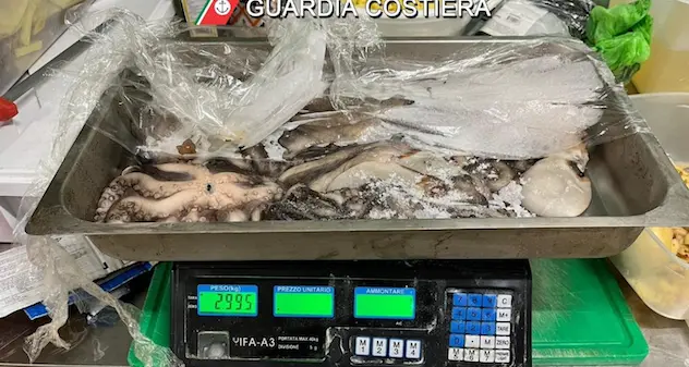 Controlli della Guardia costiera in due ristoranti: sequestrati 11 kg di polpo