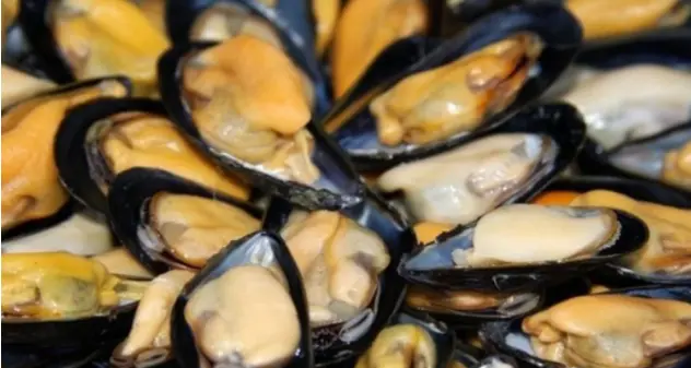 Caro carburanti: bloccate 17 tonnellate di cozze e vongole sarde