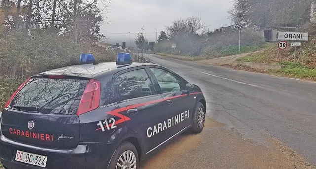 Pecore trovate morte in campagna, ecco cosa è successo