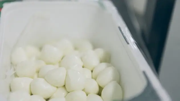 Muore soffocata mentre mangia una mozzarella: dramma in provincia di Bari