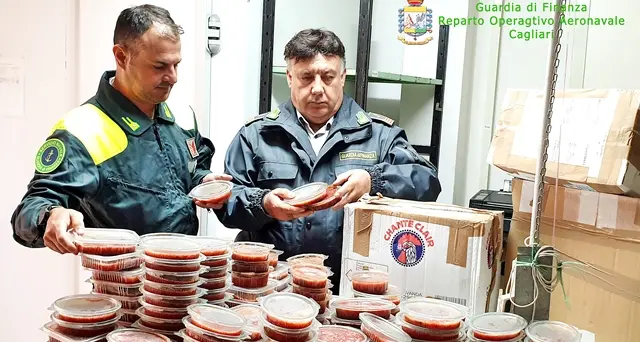 Sequestrati dalle Fiamme Gialle 70 chili di polpa di riccio illegale: il carico era diretto a Napoli