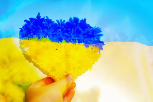 composition on the theme of independence of Ukraine. National Ukrainian flag. The hand holds a blue-yellow heart made of flowers. Patriotism, support and protection of state symbols and sovereignty