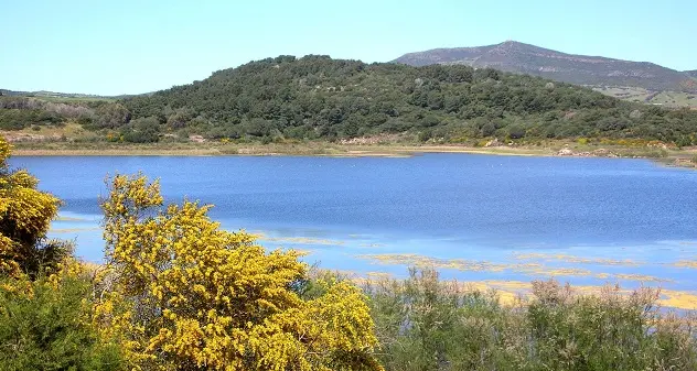 Nel territorio di Sassari l'unico bacino naturale della Sardegna: il leggendario lago di Baratz