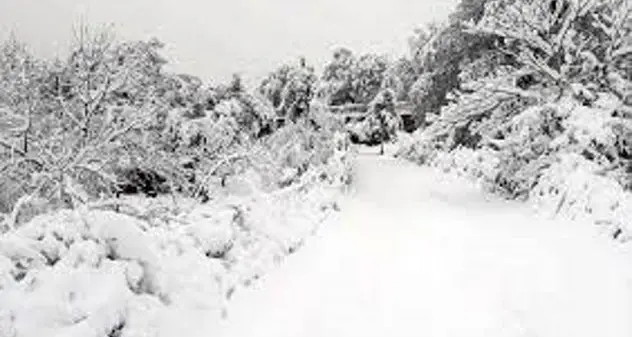 Protezione Civile regionale: “Massima attenzione: in arrivo neve, vento e mareggiate.”