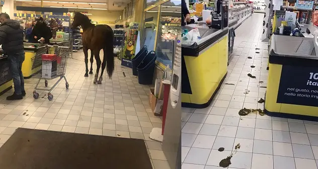 Cavallo dentro l'Eurospin di Ittiri, scompiglio fra le corsie