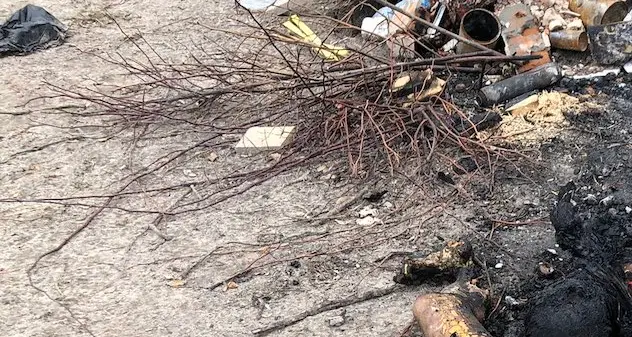Massacri a Bucha: \"Bimbi giustiziati, donne stuprate e corpi carbonizzati\"