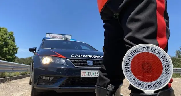 Bolotana. Investe e uccide una pecora: carabinieri rintracciano il proprietario dell'animale